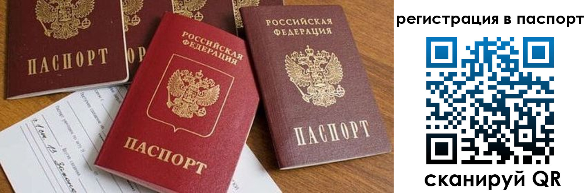 прописка в Гороховце